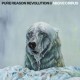 Pure Reason Revolution-Above Cirrus