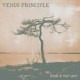 Venus Principle-Stand In Your Light