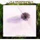Gathering-Nighttime Birds
