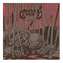 Conan-Evidence Of Immortality