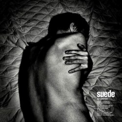 Suede-Autofiction