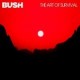 Bush-Art Of Survival