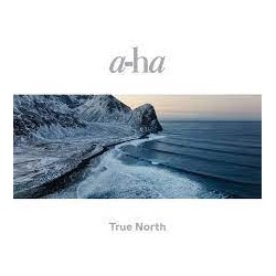 A-Ha-True North