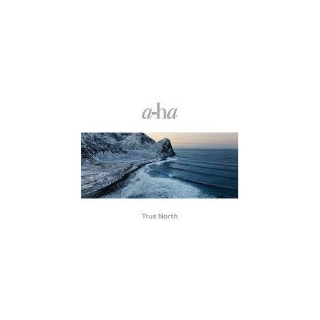 A-Ha-True North