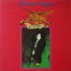 Richard Clapton-Goodbye Tiger