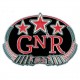 Guns N' Roses-Fibbia Chinese Democracy