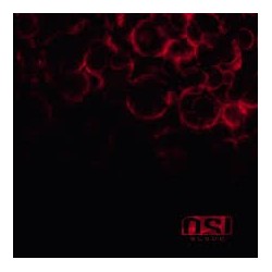 Osi-Blood