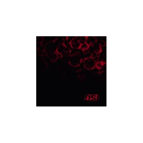 Osi-Blood