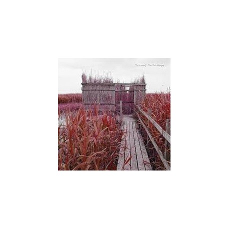 Tenniscoats-Tan Tan Theraphy