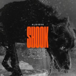 Algiers-Shook