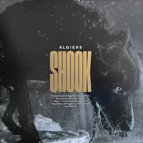 Algiers-Shook