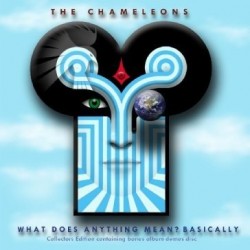 Chameleons-What Does Anything Mean? Basically