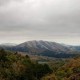 Dirty Projectors + Bjork-Mount Wittenberg Orca