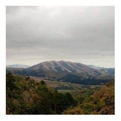 Dirty Projectors + Bjork-Mount Wittenberg Orca