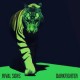 Rival Sons-Darkfighter