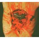 Dismember-Indecent & Obscene