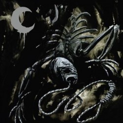 Leviathan-A Silhouette In Splinters