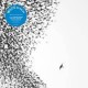 Wilco-Sky Blue Sky