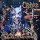 Cadaver-Age Of The Offended