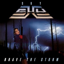 Shy-Brave The Storm