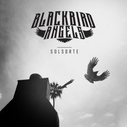 Blackbird Angels-Solsorte
