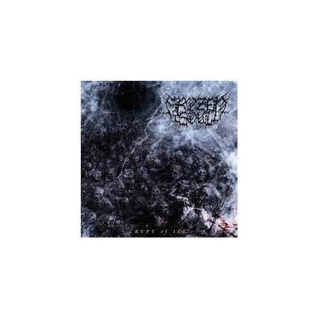 Frozen Soul-Crypt Of Ice