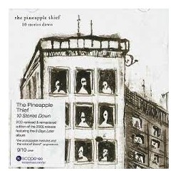 Pineapple Thief-10 Stories Down
