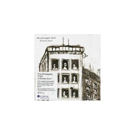 Pineapple Thief-10 Stories Down
