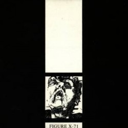 Lab Report-Figure X-71