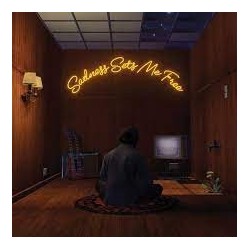 Gruff Rhys-Sadness Sets Me Free
