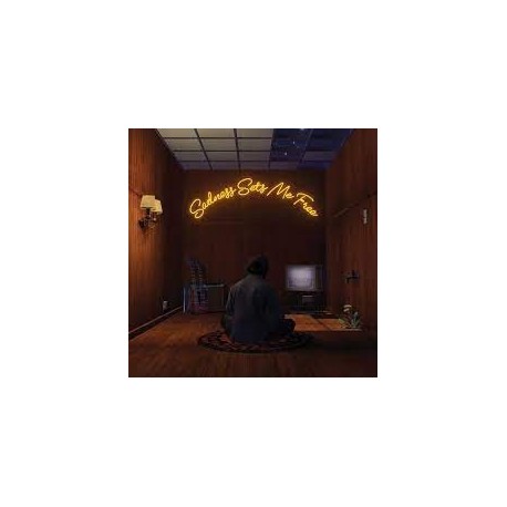 Gruff Rhys-Sadness Sets Me Free
