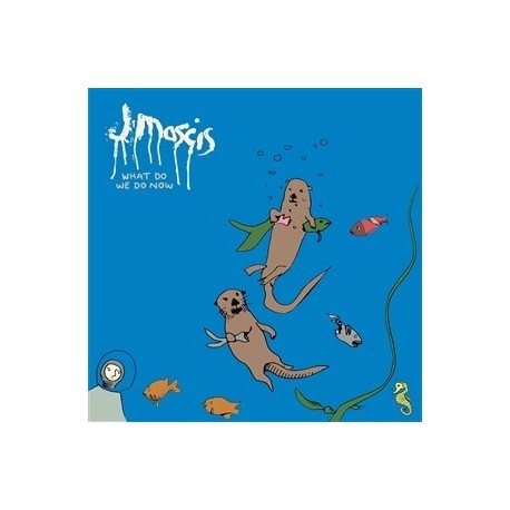 J Mascis-What Do We Do Now