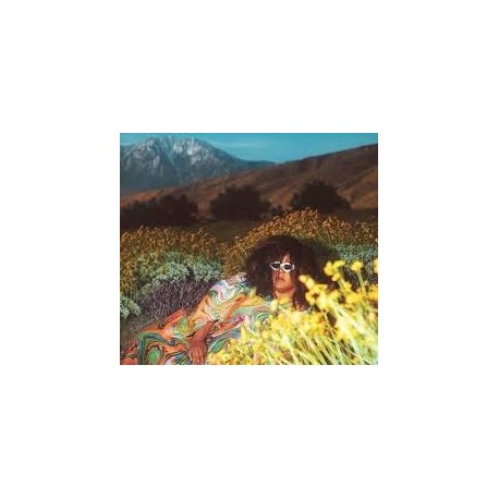 Brittany Howard-What Now