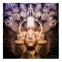 Mr Bison-Echoes From The Universe