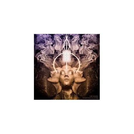 Mr Bison-Echoes From The Universe