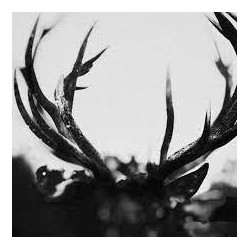 Ihsahn-Ihsahn