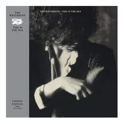 The Waterboys-This Is the Sea