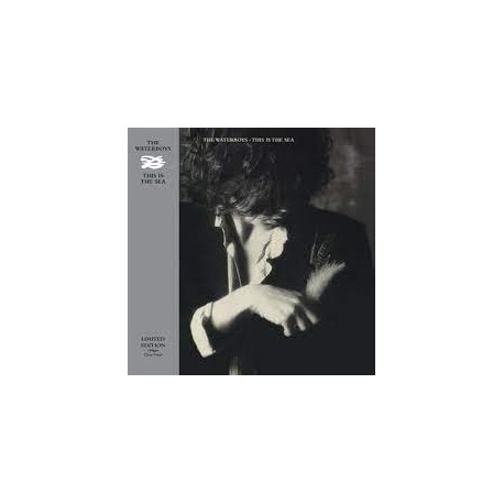 The Waterboys-This Is the Sea