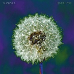 Bevis Frond-Focus On Nature