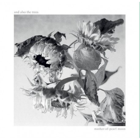 And Also The Trees-Mother Of Pearl Moon