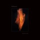 Pallbearer-Mind Burns Alive