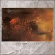 Cocteau Twins-Victoryland