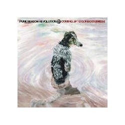 Pure Reason Revolution-Coming Up To Consciousness
