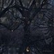 Trelldom-...By The Shadow