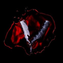 Black Veil Brides-Bleeders