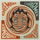Aimee Mann-Charmer