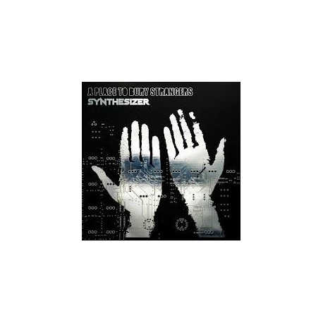A Place To Bury Strangers-Synthesizer
