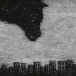 Crippled Black Phoenix-Wolf Changes Its Fur But Not Its Nature