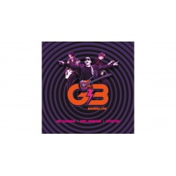 G3 Joe Satriani/ Eric Johnson/ Steve Vai-G3 REunion Live