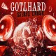 Gotthard-Stereo Crush